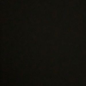 Meet your Posher, Kyra